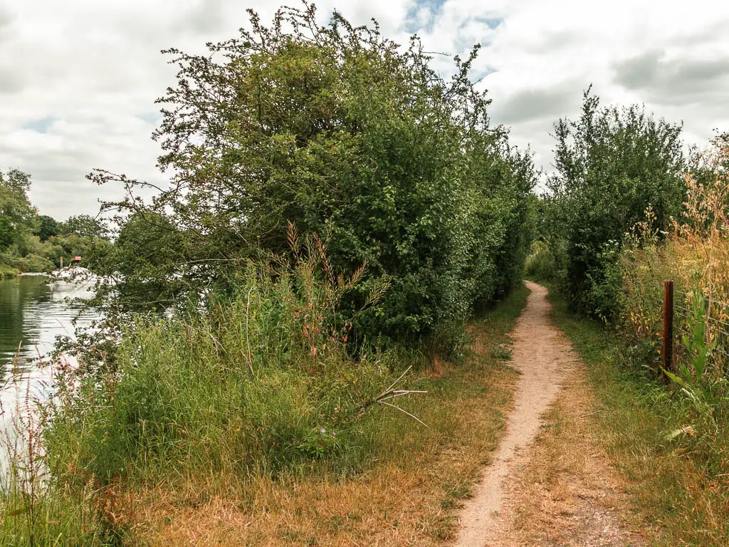 A dirt trail leading ahead, lined with big bushes, and the river just visible to the left.