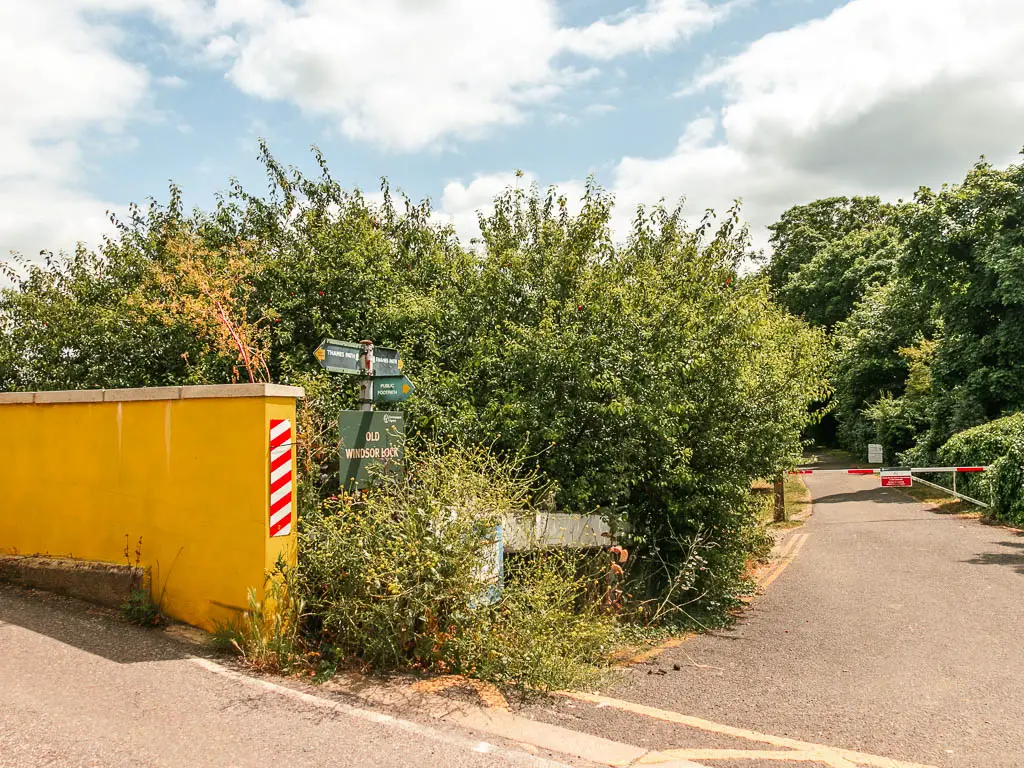 A road leading ahead, and a road turning left alongside a yellow wall. There is a mass of bushes in the junction of the roads.