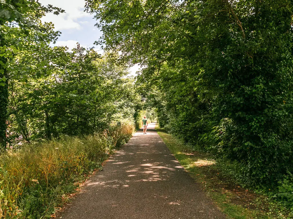 A wide path road lined with big bushes and trees, and a person walking ahead, on the way to Staines from Windsor.