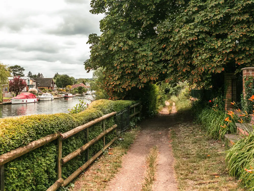 A dirt trial leading ahead, with a wooden fence and hedge to the left and river on the other side. There is a big overhanging tree on the right.