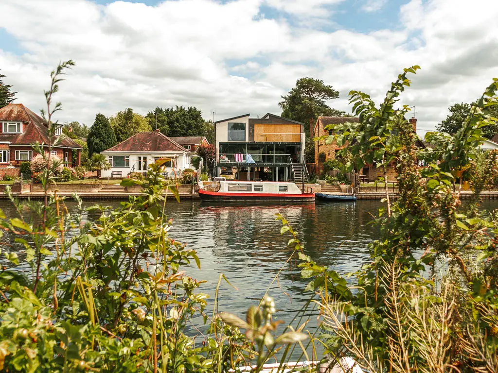 Looking through the bushes to the river with houses on the other side.