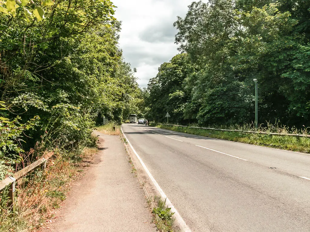 A road leading ahead with a pavement to the left. The road and pavement are lined with big trees.