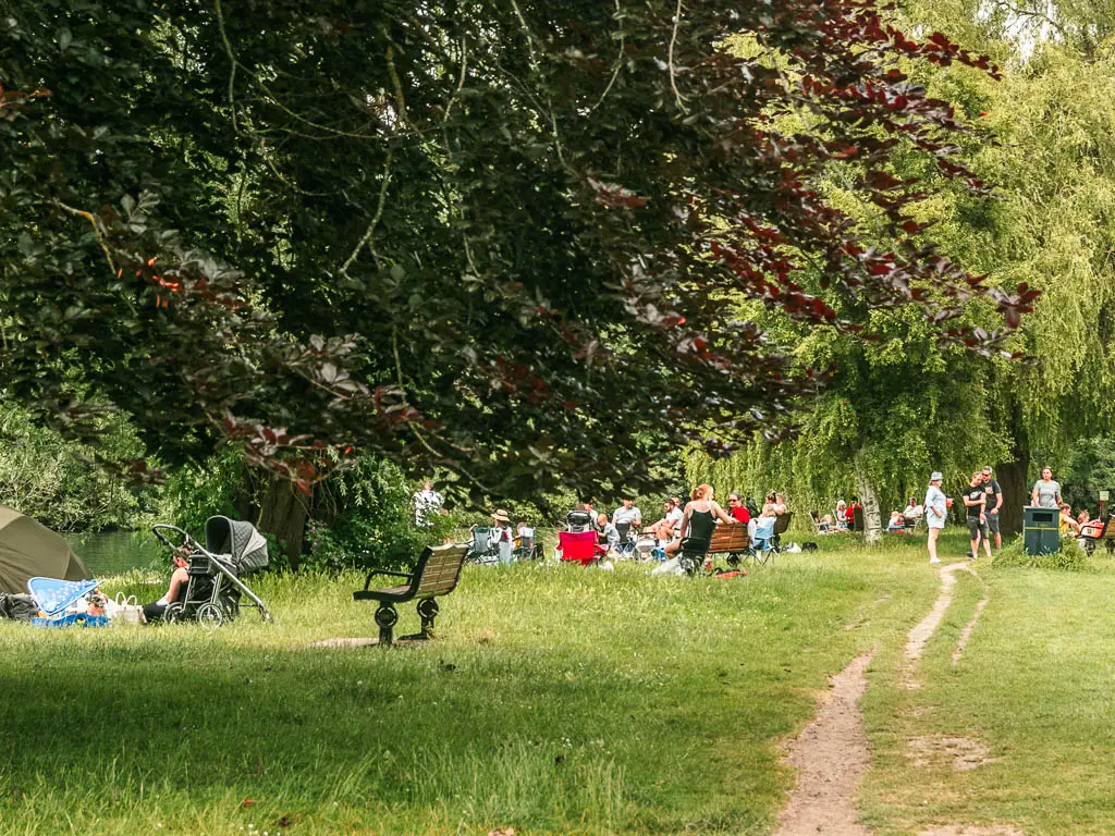 A field with a trail running through it and lots of people ahead. There are tree branches hanging into the Fram on the left.