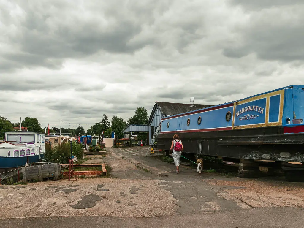 A women walking her dog next to a blue barge to the right of her on the ground.