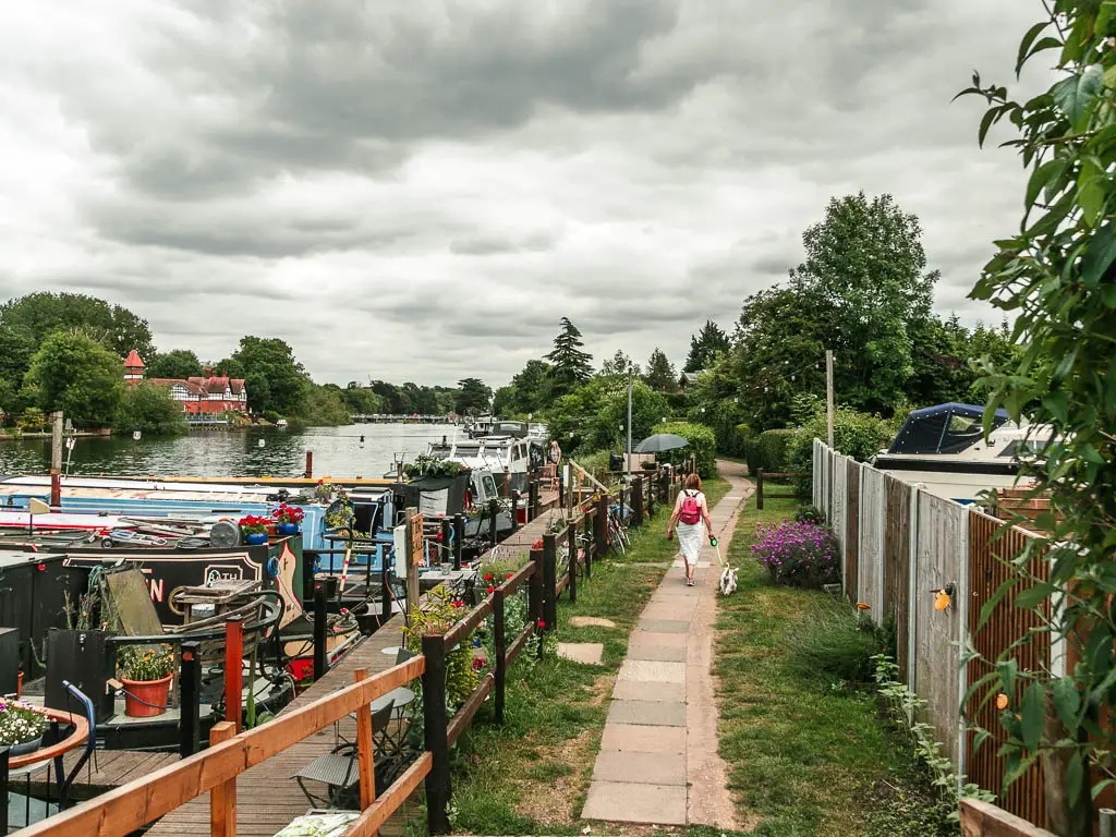 Looking down the a paved path with a women walking her dog, near the end of the walk from Windsor to Staines. There is a fence to the right and an assortment of barges moored to the side of the river on the left.