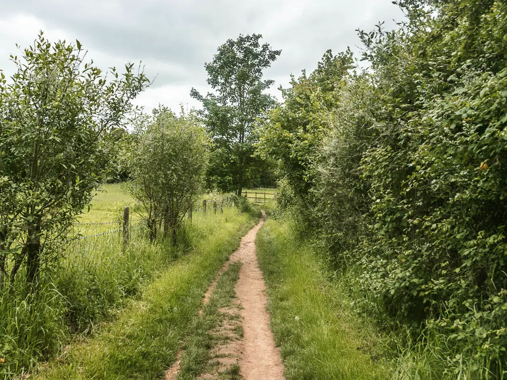 A narrow dirt trail lined with grass, and bushes to the right, and wire fence then field to the left.