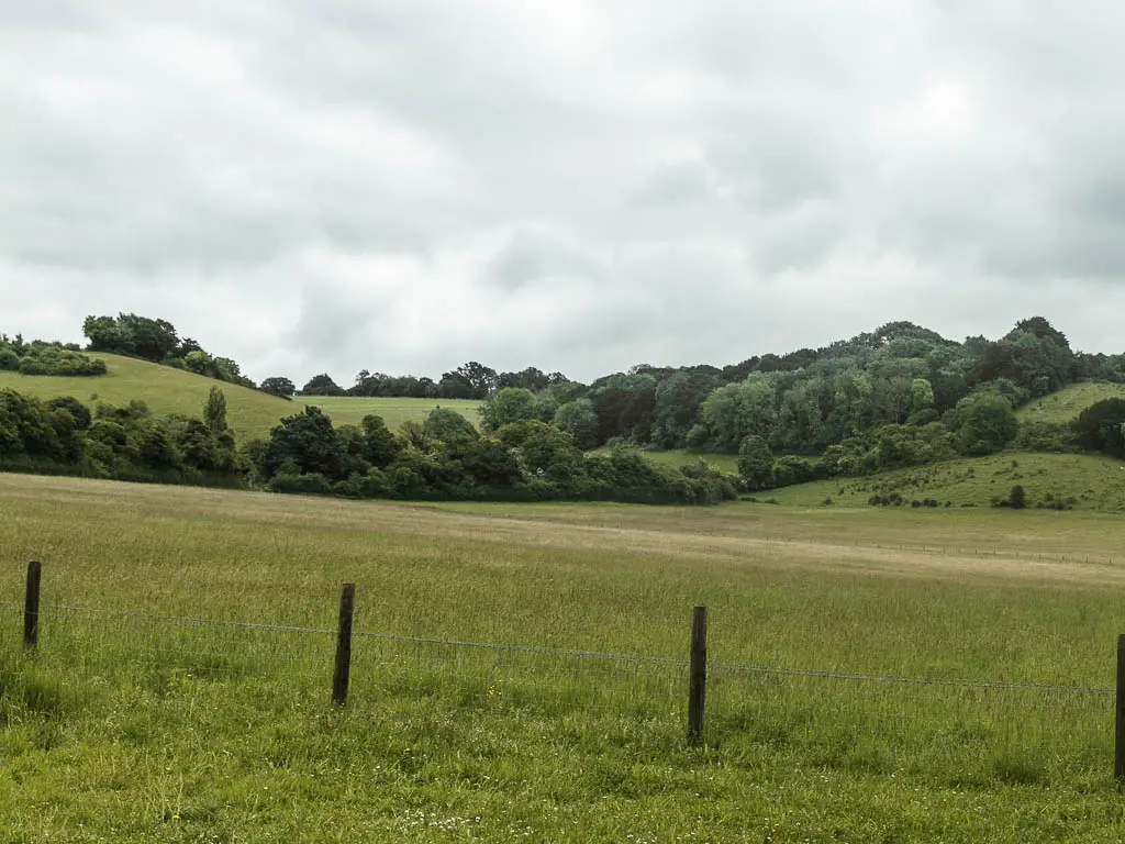 Looking across the grass fields, to undulating tree covered hills in the distance, on the walk from Goring and Streatley to Reading.