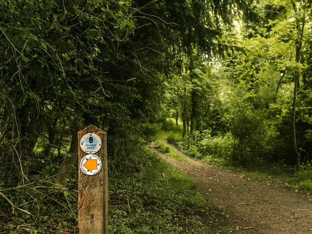 A wooden stump trail sign with a blue thames path arrow pointing ahead along the dirt trail which is surrounded by bushes and trees.