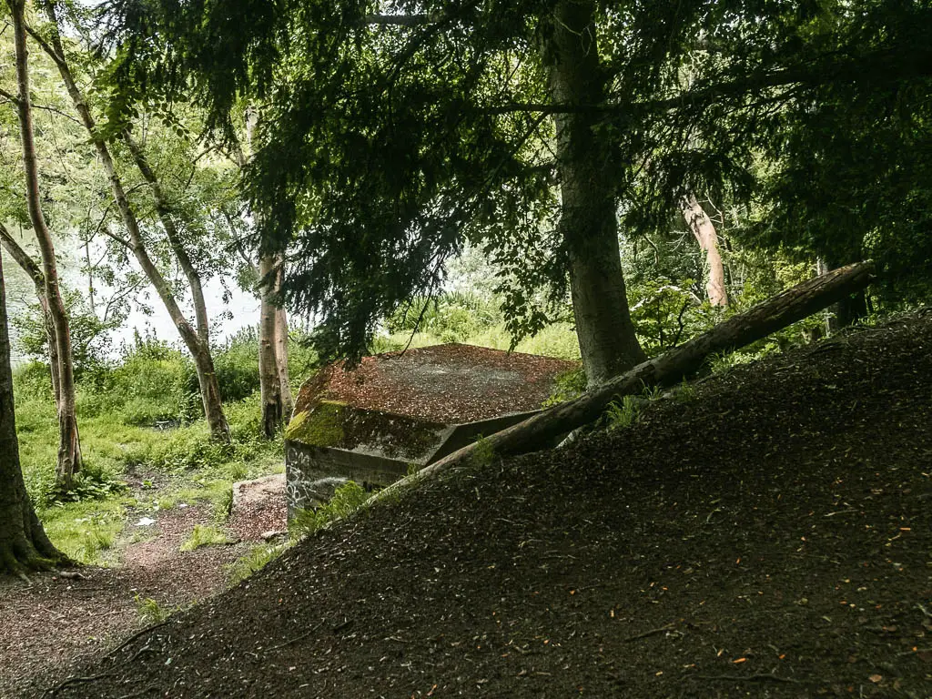 A pillbox below partial hidden by a hill. It is surrounded by a few trees.