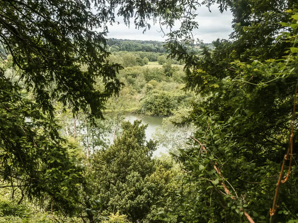 Looking through a gap in the green leafy trees and bushes to the river below on the walk from Goring and Streatley to Reading.