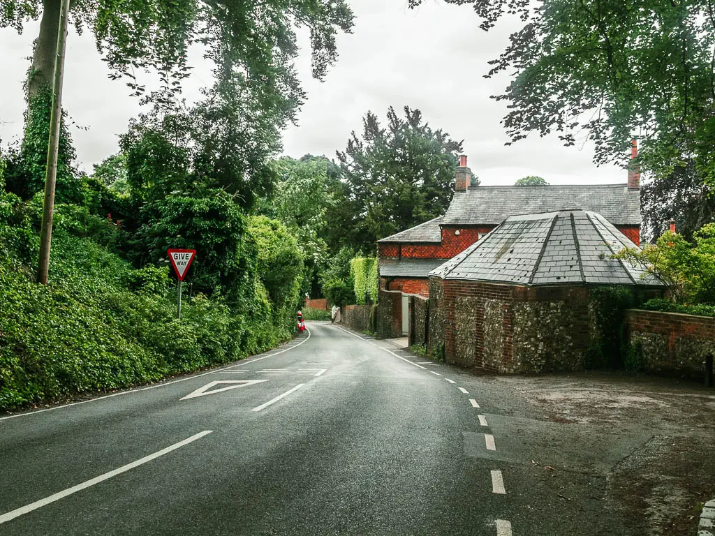 A road leading down hill lined with bushes on the left side, and some houses on the right side.