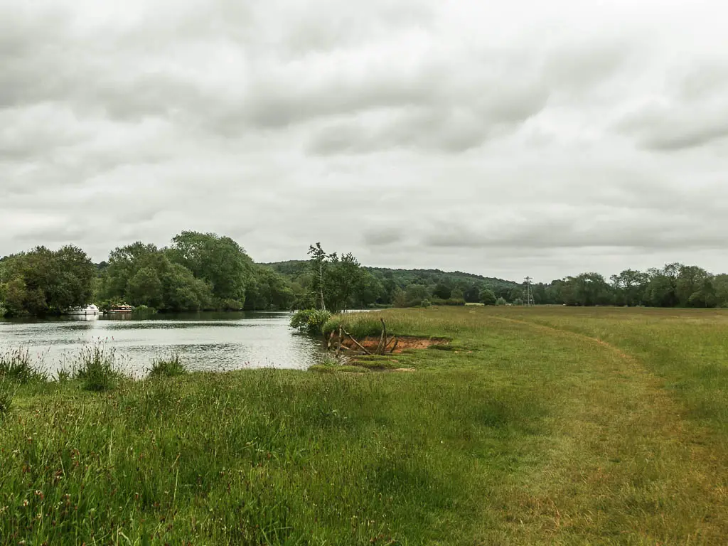 A flat field with tall grass with the river and lived river bank to the left, partway through the walk from Goring and Streatley to Reading.