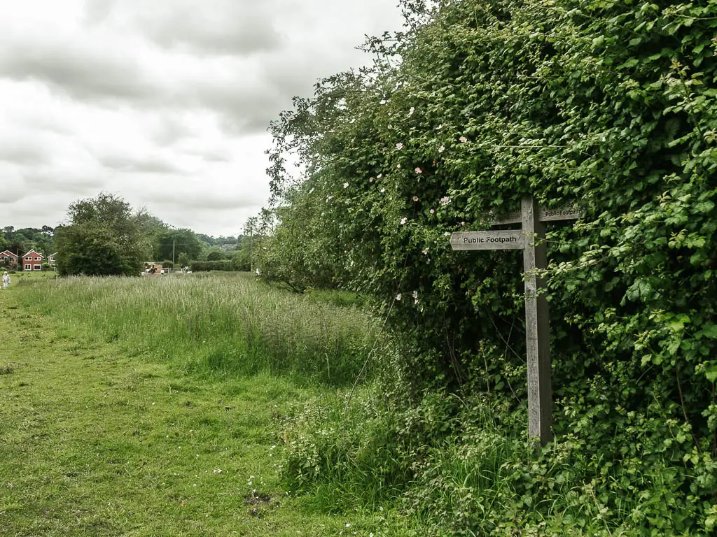 A field on the left and big bush oil the right, with a wooden trail sign nestled in the bush.