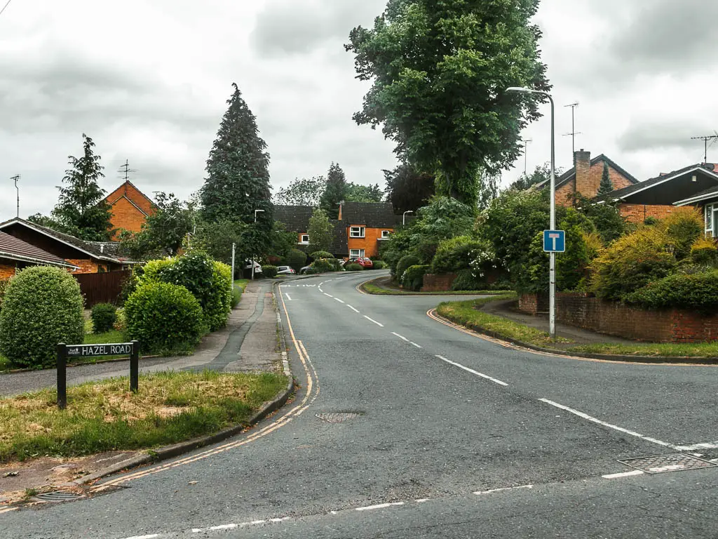 A residential road lined with bushes, hedges, trees and houses.
