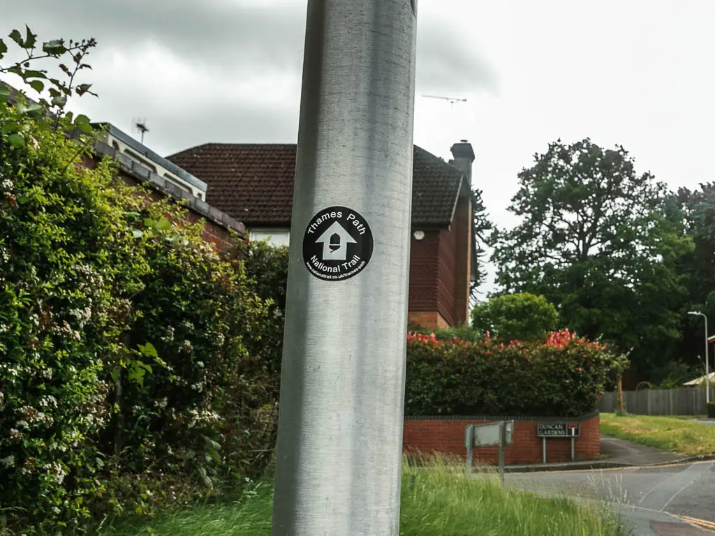 A black Thames path sicker on a metal pole, with a white arrow pointing ahead. There is a hedge on the left side and a house partial hidden behind the pole.
