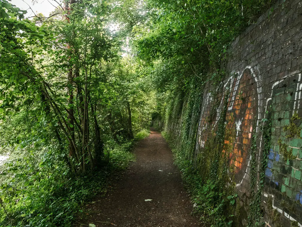 A dirt path with graffiti covered brick wall on the right and trees and bushes to the left.