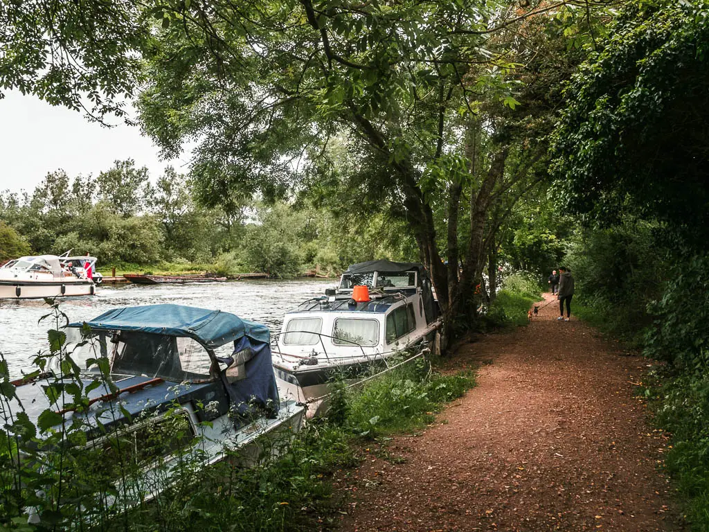 A wide path on the right, with river and boats moored to the side on the left. The path is lined with bushes and trees. There is a person walking their dog ahead.