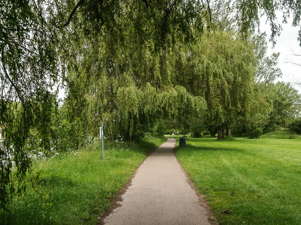 A wide neat path lined with bright green grass, and weeping willow trees overhanging the path.