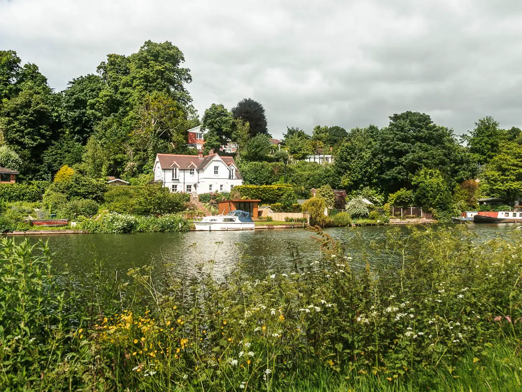 Looking over the bushes to the river and the other side is filled with trees, bushes, and a white walled house poking out from them, when walking from Goring and Streatley to Reading.