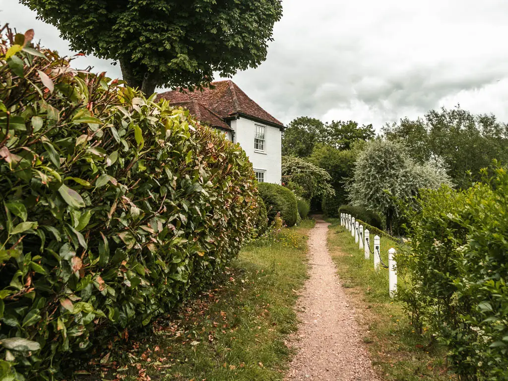 A thin trail leading ahead, lined with strips of grass on both sides, and a hedge on the left side, on the walk from Maidenhead to Windsor. There is a white walled hose partially visible behind the hedge on the left.