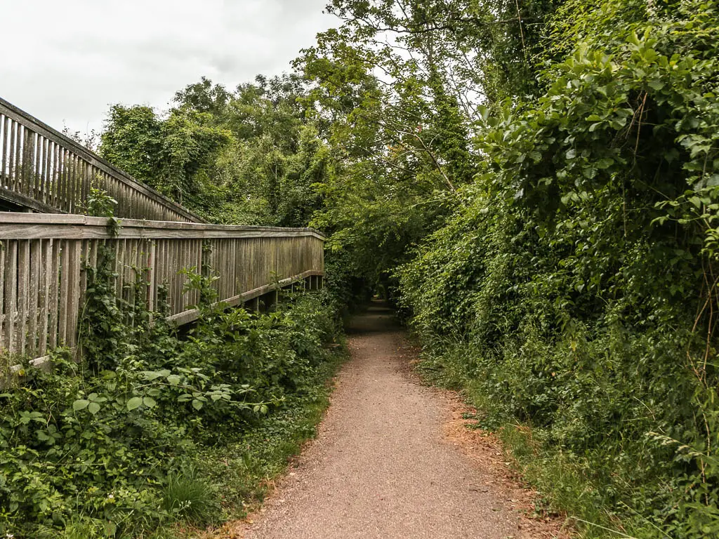 A dirt trail leading ahead, lined with bug bushes and trees to the right and a wooden fence on the left.