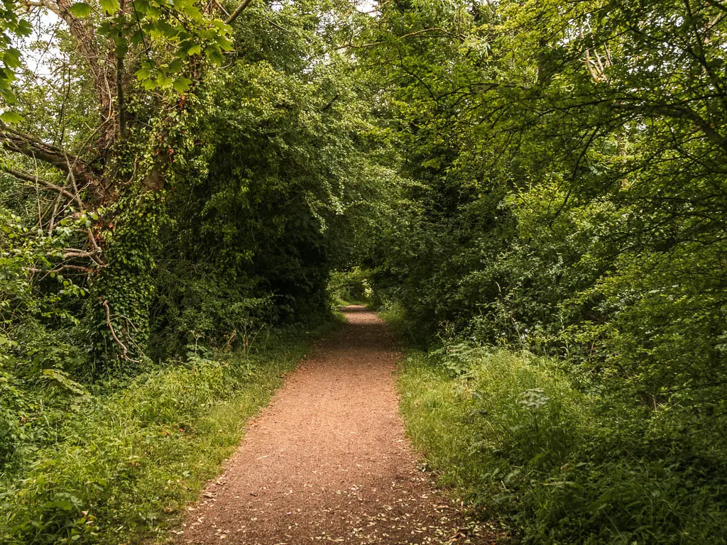 A dirt path leading ahead through the trees and bushes forming a tree tunnel ahead.