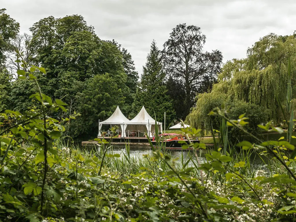 Looking over the green leafy bushes to the river and white canopy tents on the other side.