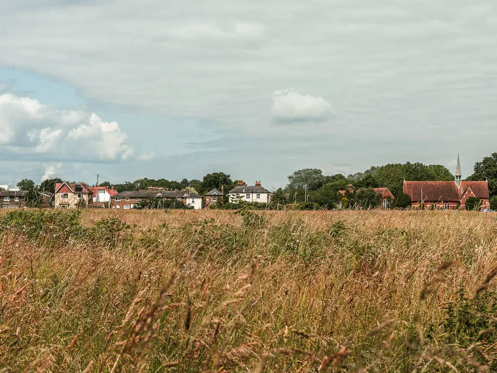 Looking over the meadow to houses on the other side, near the end of the walk from Maidenhead to Windsor.