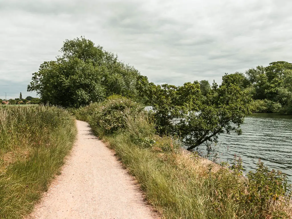 A pale wide path leading ahead, lined with tall grass on both sides, and the river to the right.