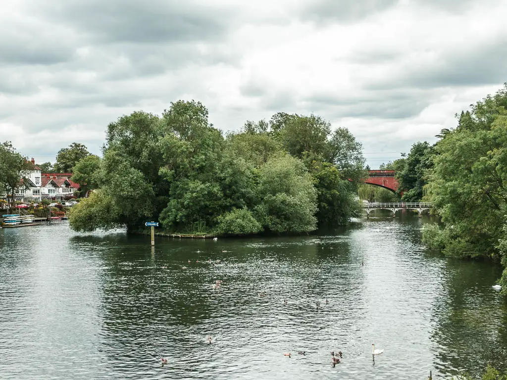 Looking down and along the river, towards a mass of green leafy trees ahead.