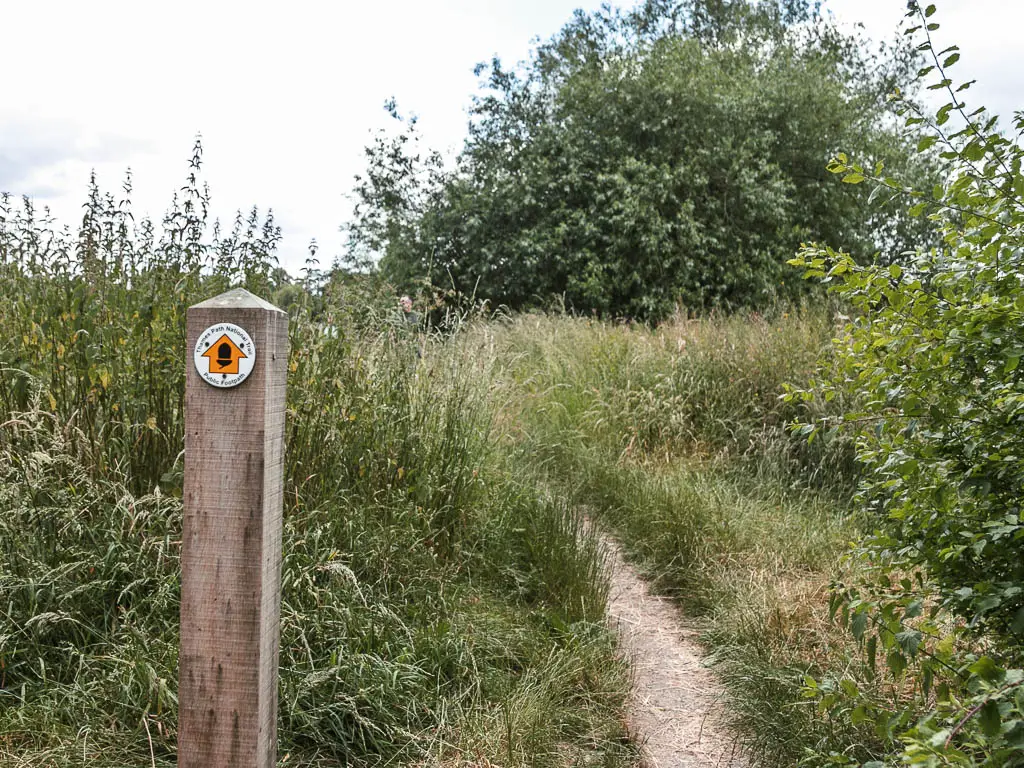 A thin trail leading through the tall grass, with a wooden trail signpost on the left. The post has a yellow arrow pointing ahead along the trail.