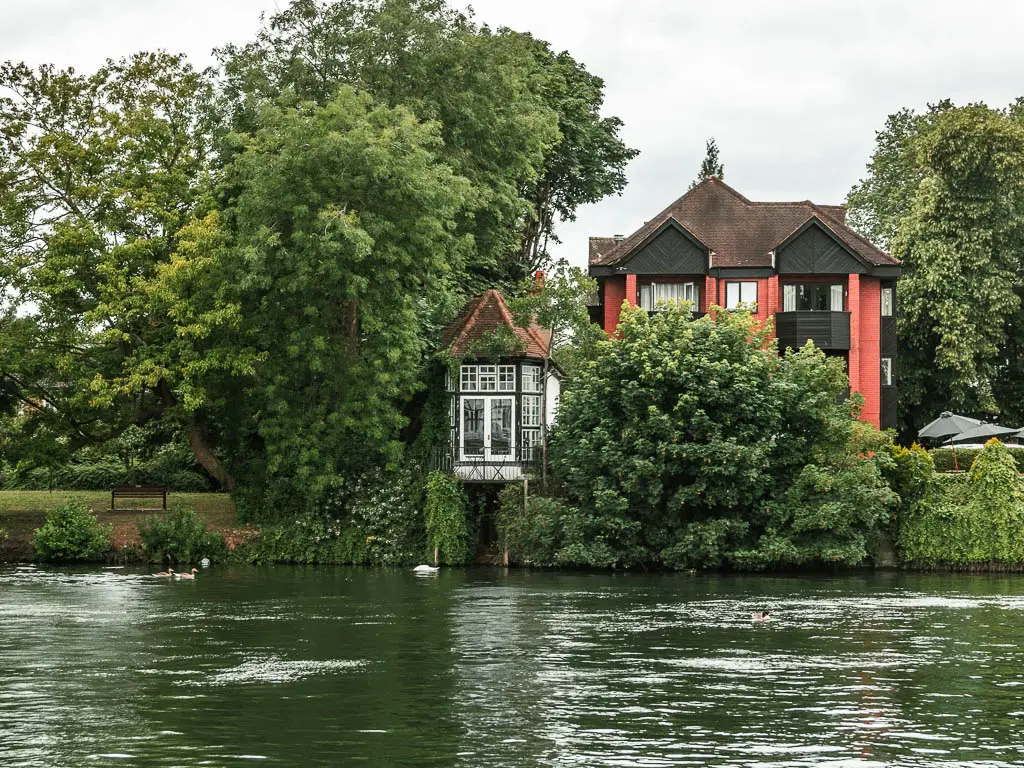 Looking across the river to a mass of green leafy bushes and partially hidden house, at the start of the walk from Maidenhead to Windsor.