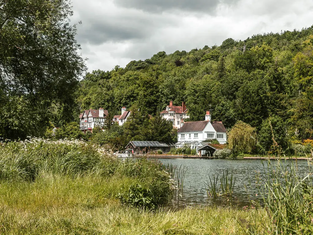 Looking over the unkept grass to the river and grand white walled houses on the other side, near the end of the walk from Reading to Henley. There is a big wall of green leafy trees behind the houses.