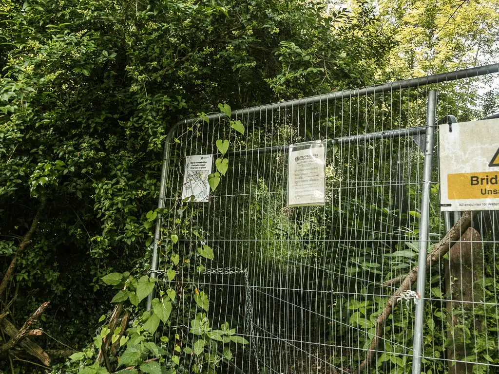 A big metal gate blocking the path, surrounded by bushes.