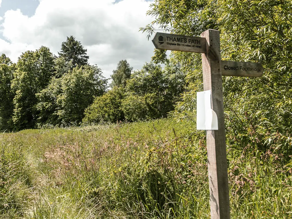 A wooden trail sign post with an arrow pointing left saying Thames Path. The post is on the right side of a meadow with tall grass, and bushes and trees running along the right side and ahead.