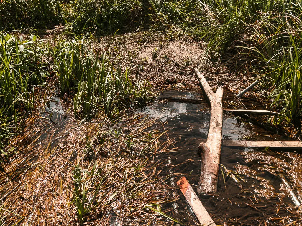 A wet boggy ground with log to walk over.