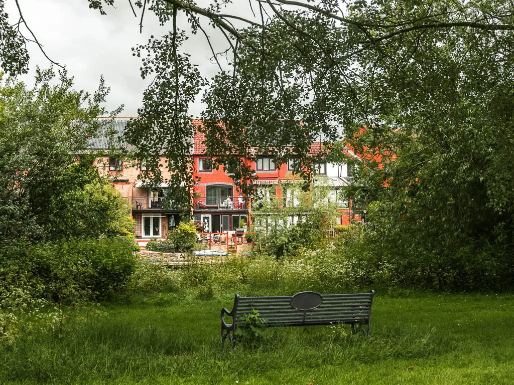 A bench in the tall grass facing through a gap in the trees to apartment buildings.