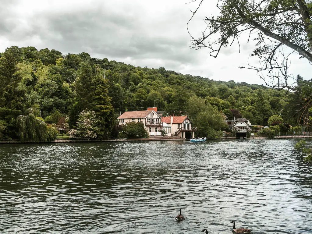 Looking across the river with ripples to houses on the other side and a hill of trees rising up behind,.