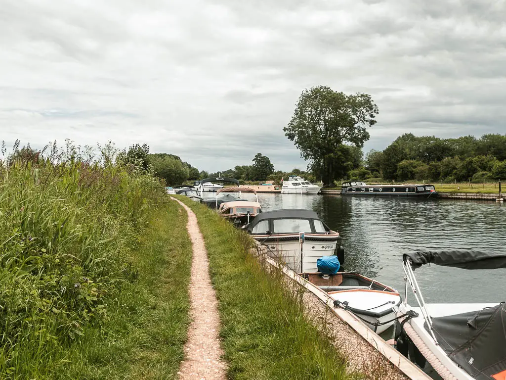 A thin trail through the grass, with the river on the right and boats moored to the side.