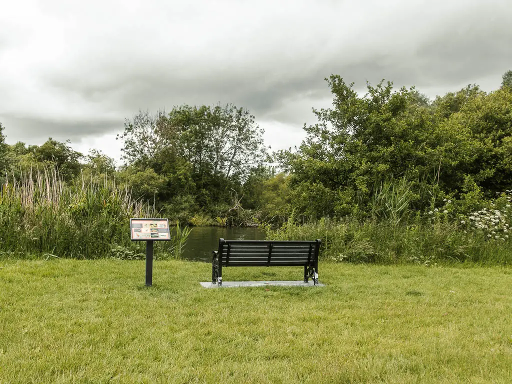 A grass field with a black bench facing the river ahead. There is an information board next to the bench on the left.