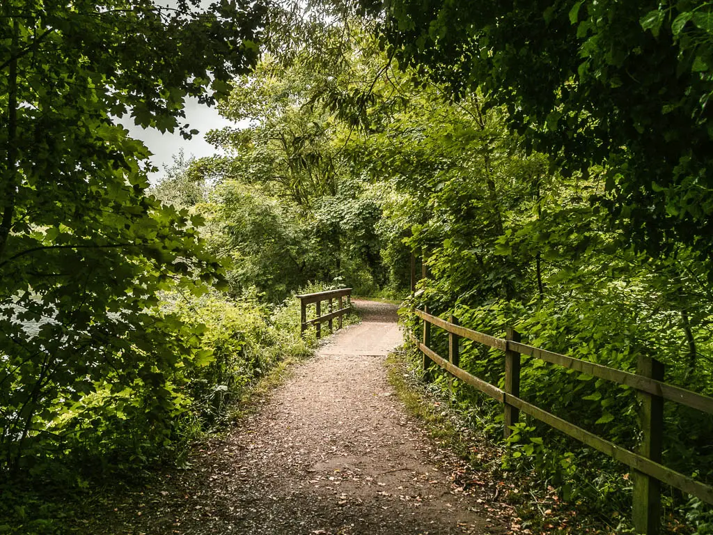 A wide dirt trial lined with bushes and trees, and a wooden railing on the right, on the walk from Reading to Henley.