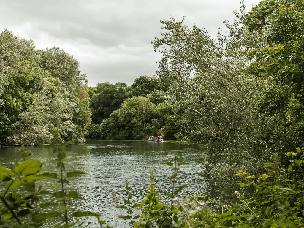 Looking over the bushes to the river, which is lined with masses of big leafy trees, on the walk from Reading to Henley. There is a barge on the river ahead in the distance. 