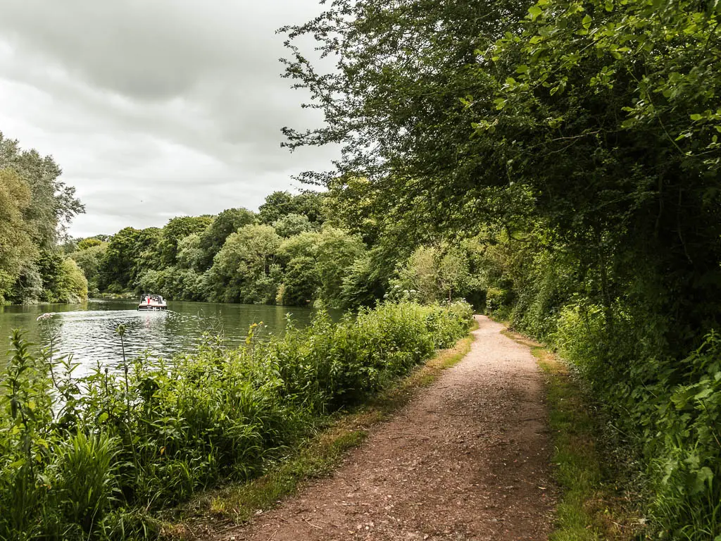 A dirt trail on the right, with the river to the left, and bushes separating the two when walking from Reading to Henley. The right side of the path is lined with big leafy bushes and trees.