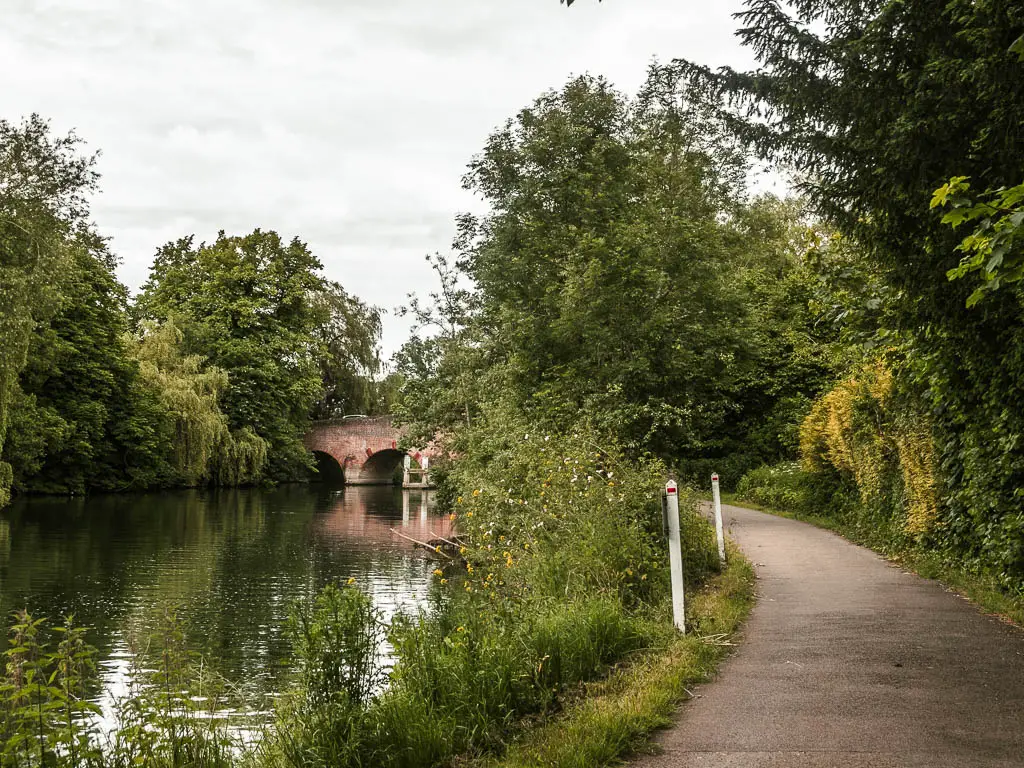 The path curving to the left ahead, with the river on the left and an archway bridge partially hidden by trees ahead, on the walk from Reading to Henley. The path is lined with bushes and trees.