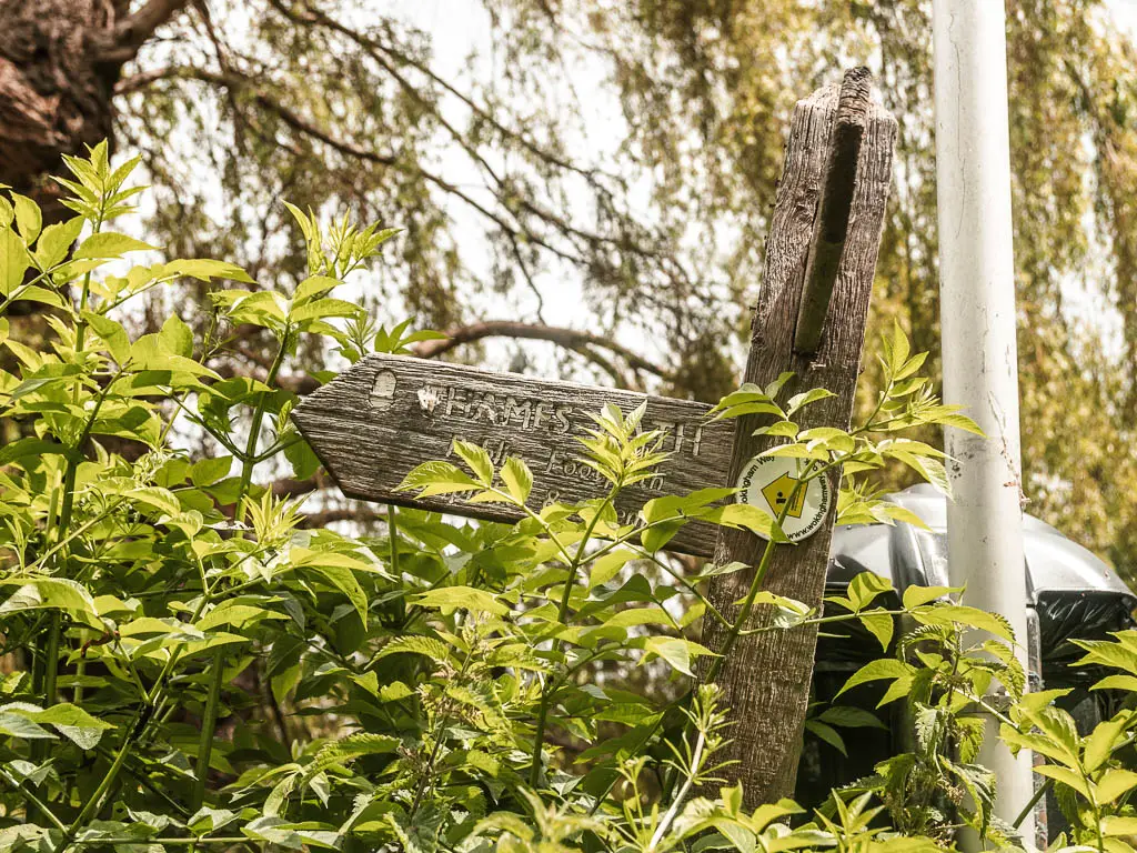 A wooden trail signpost partially hidden by the green leaves of the bushes. The arrow points left for the Thames Path.