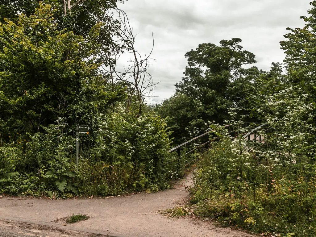 A bridge partially hidden by big bushes.