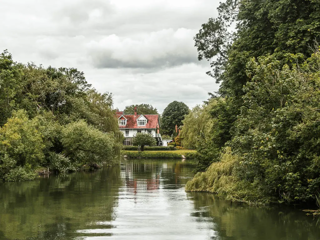 Looking across the river to a big house in the distance surrounded by big trees with green leaves, on the walk from Reading to Henley.