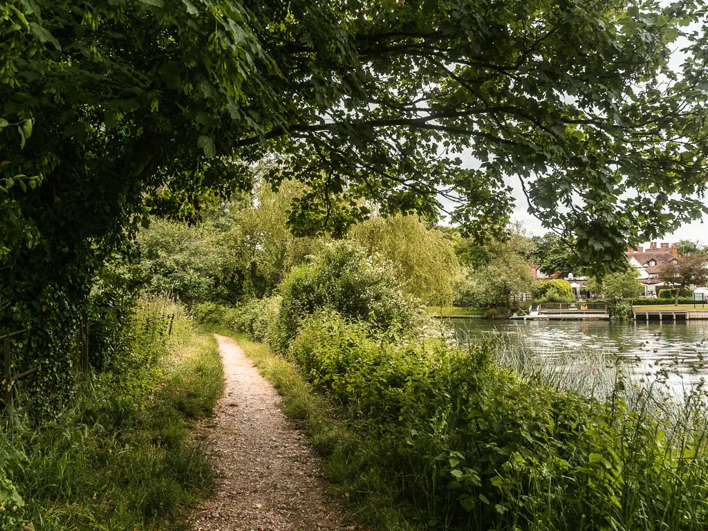 A dirt trail leading ahead, with bushes on the right and trees and bushes on the left, with some tree branches hanging over the trail. The river is just visible on the right.