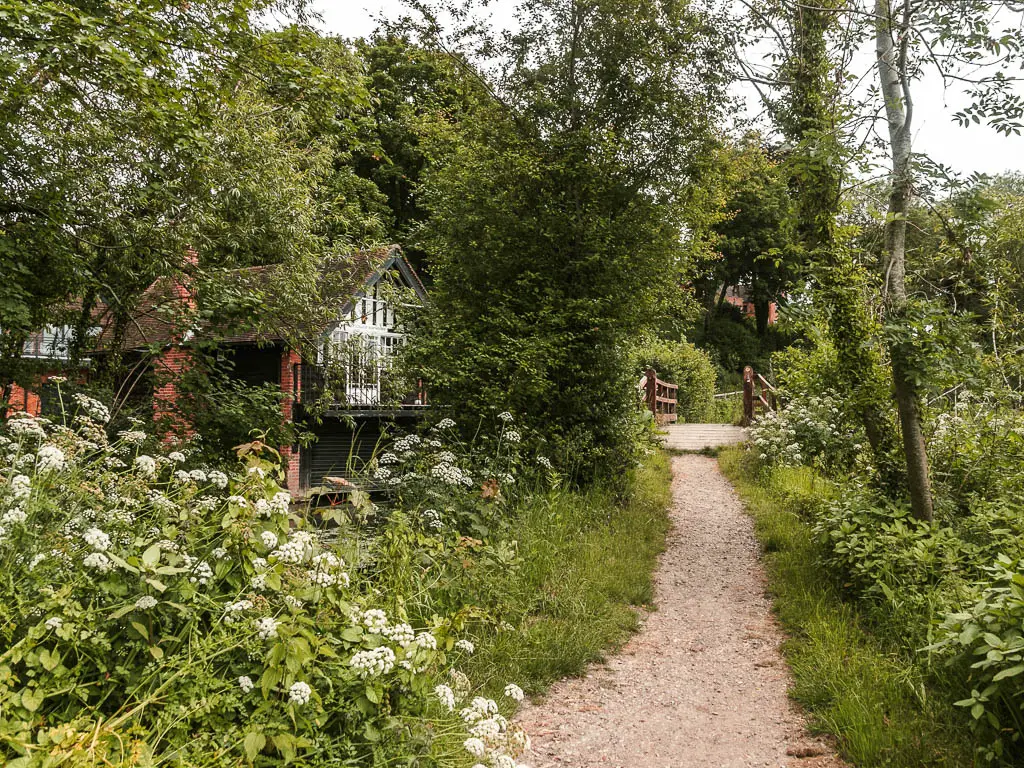 A trail leading ahead on the right, with green bushes with white flowers to the left. The path leads to a bridge ahead. A house is partially visible through the bushes and trees on the left.