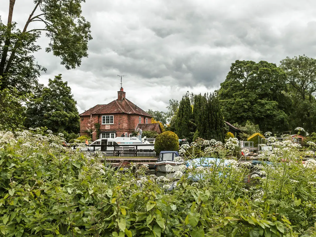 Looking over the bushes with white flowers to the lock building on the other side.